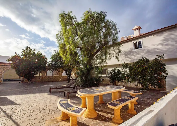 Beautiful Open 3 Bed Apartment