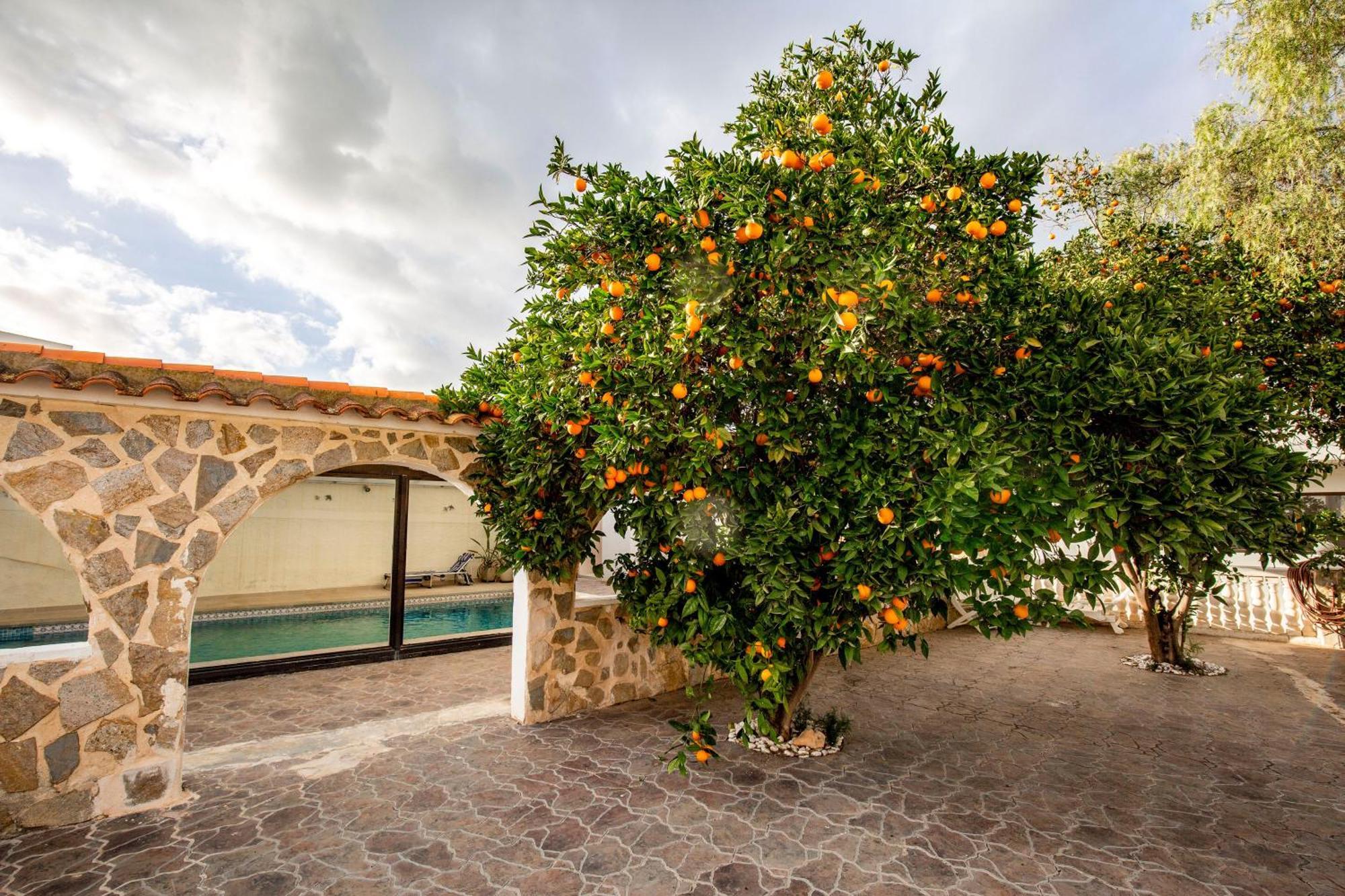 Beautiful Open 3 Bed El Albir