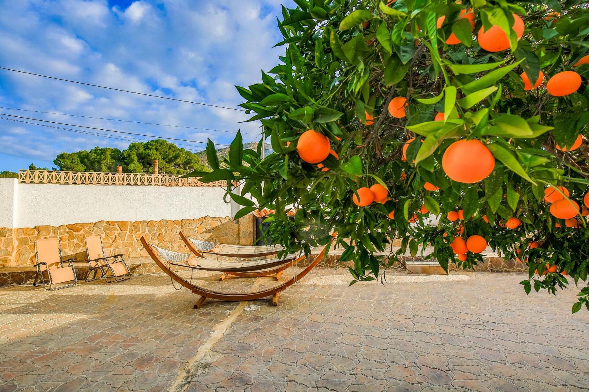 Beautiful Open 3 Bed * El Albir