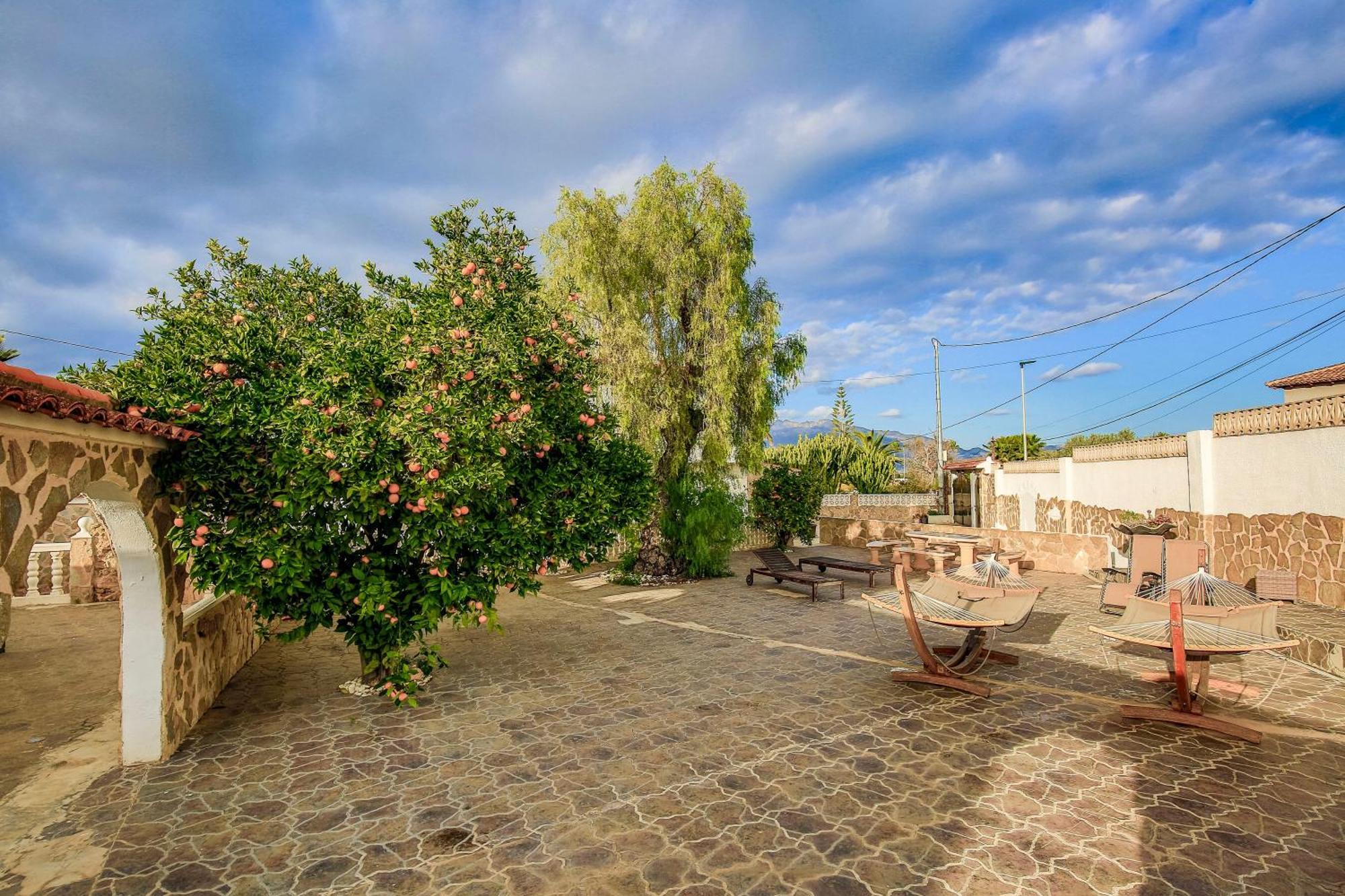Beautiful Open 3 Bed Apartment El Albir