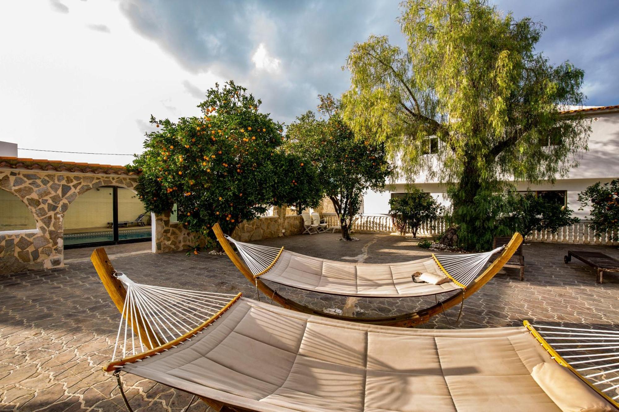 Beautiful Open 3 Bed *