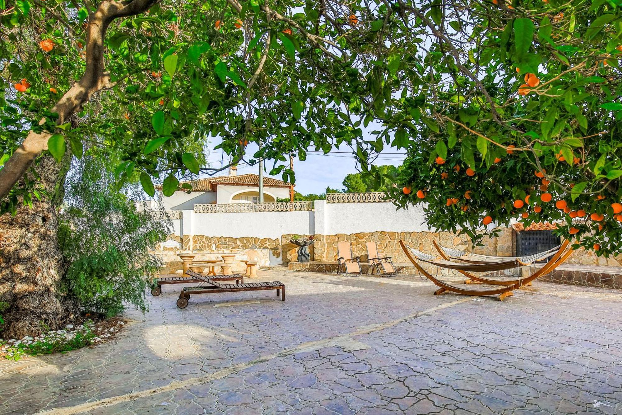 Apartment Beautiful Open 3 Bed