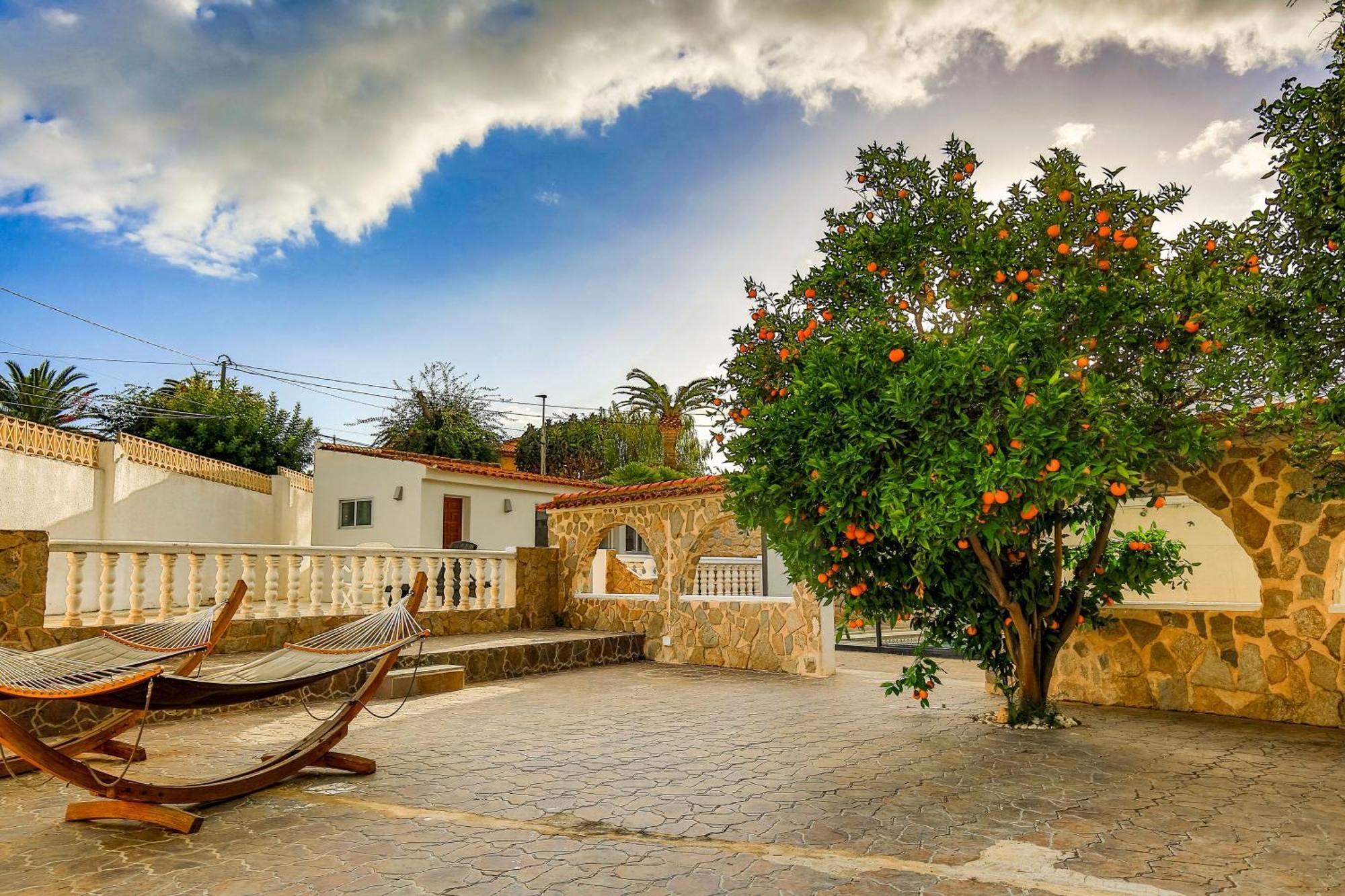 Beautiful Open 3 Bed *