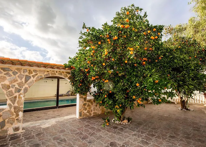 Beautiful Open 3 Bed Apartment